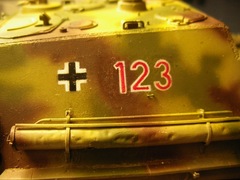IMGP2113