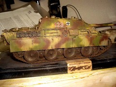 IMGP2195