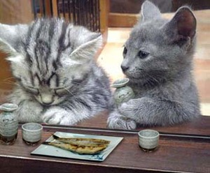 女の子と飯の約束してたのに直前になってキャンセルwww