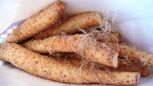 精力のつく食べ物教えてください