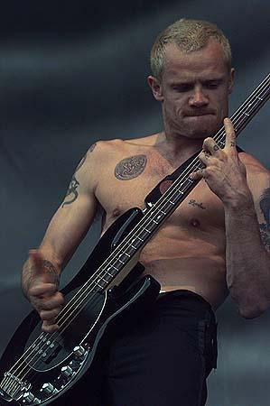 flea7