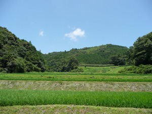 嫁の為に田舎に引っ越したけど質問ある?