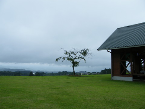 DSCF9537