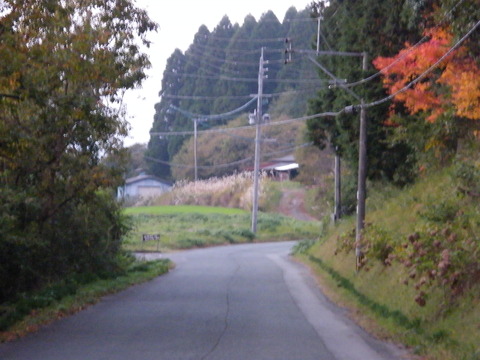 DSCF7876