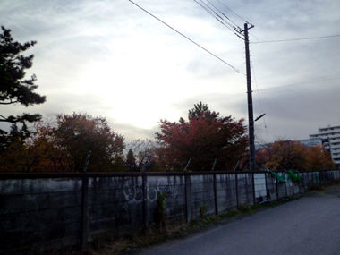 12 007