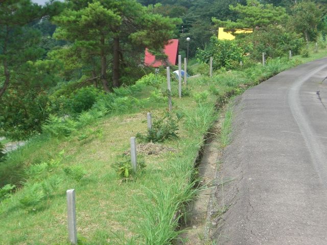 CIMG8279