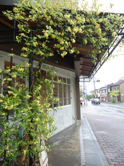 DSC02881