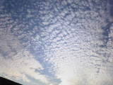 f922c804.jpg