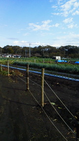 710072d3.jpg