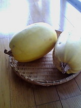 8fc07b53.jpg