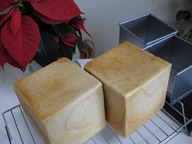 IMG_1747-w280