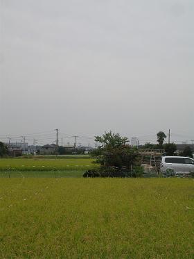 zama