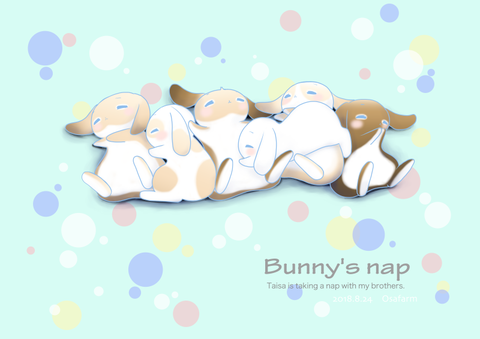 うさぎイラスト