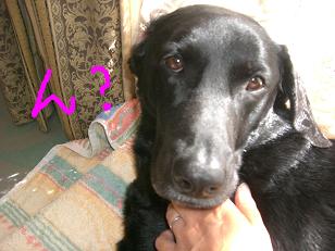 ¤Ò¤Ê¤¿¤Ü¡¼¡¼¤Ã¤³