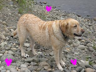 POH¤µ¤ó