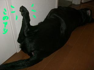 ¤³¤Î¸å»Ñ¡¦¡¦