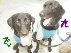 ¤ì¤Ã¤¿¤ó¤Î¤«¤ª