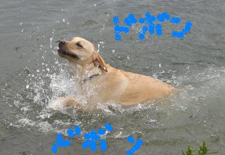 WOO¤Á¤ã¤ó