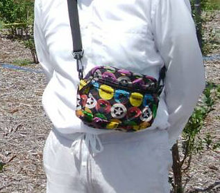 fukuda3b
