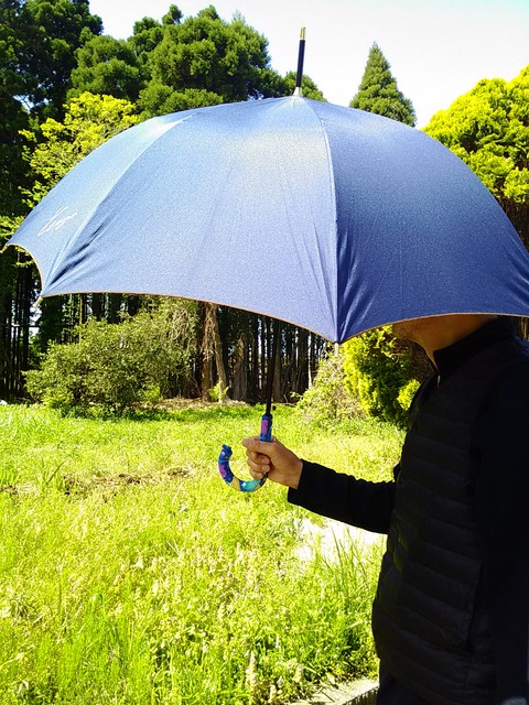 kasagrip_hito1