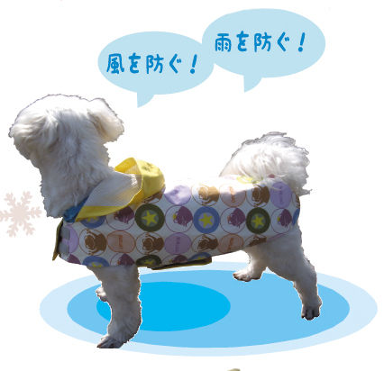 chouji_rain
