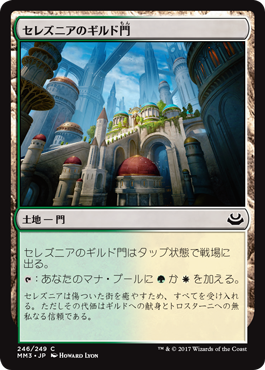21セレズニアのギルド門
