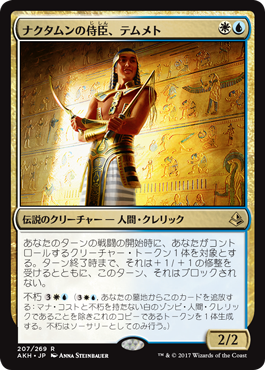 3ナクタムンの侍臣、テムメト