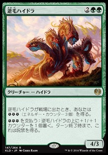 逆毛ハイドラ
