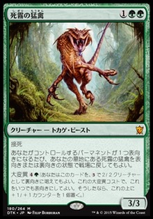 死霧の猛禽
