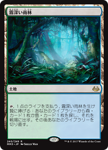 3霧深い雨林