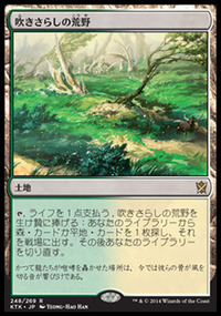 吹きさらしの荒野