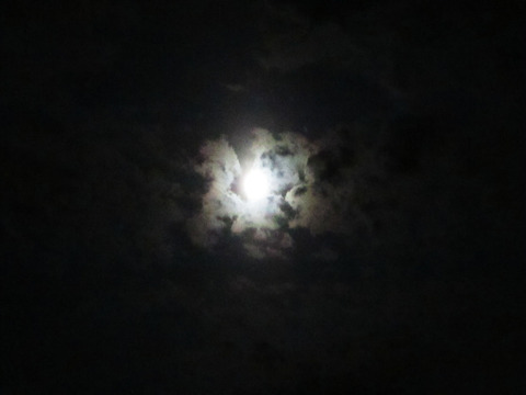 十五夜の月