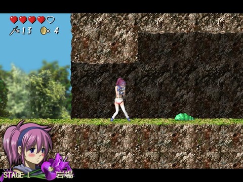 アイリス02