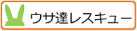 ウサ達レスキュー
