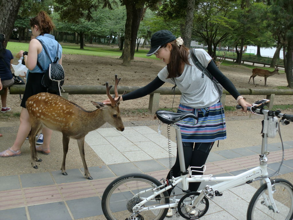 つい撫でくり回してしまい、