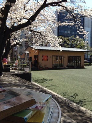2014-sakura02