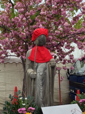 2014-sakura21