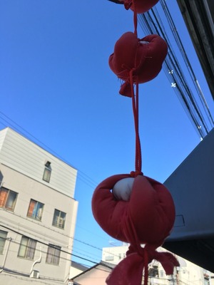 20160208-さる7