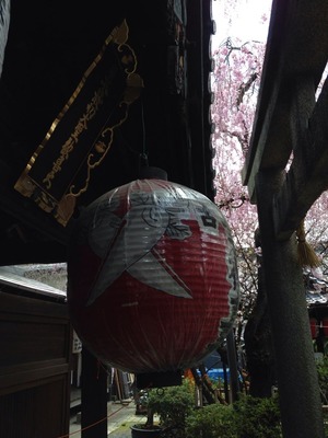 2014-sakura09