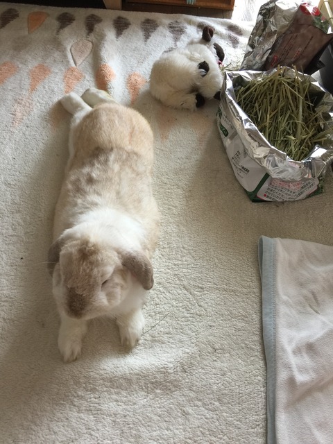 61AB930E-4124-4BAE-9E9D-F89D2F1FBD25