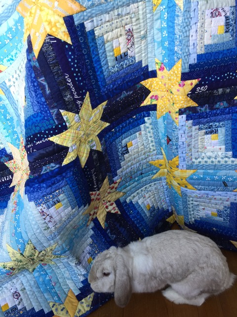 CC1E5716-45B3-4AB7-88C4-49B293C2E995