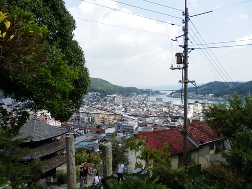 so 061