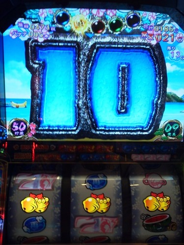 sg 307