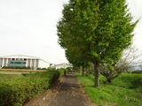 DSC01801