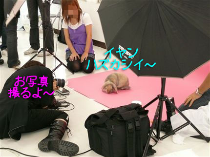 ハズカシイ