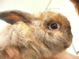 ふわっふわ