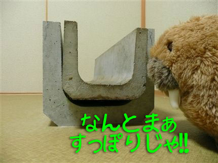 すっぽり
