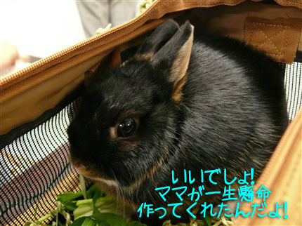 いいでしょ!