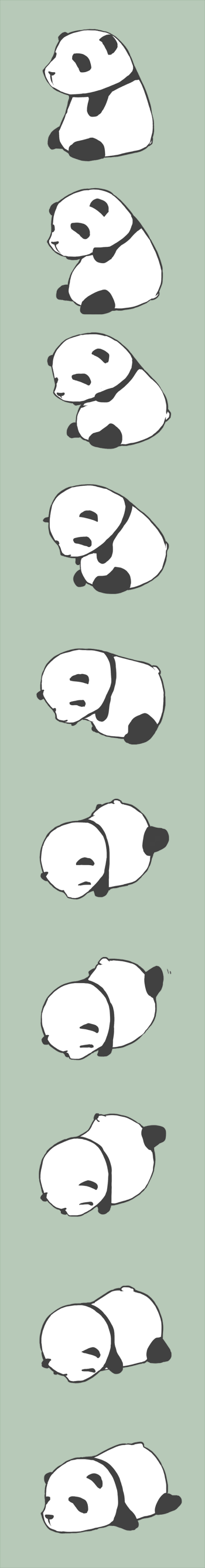 pandapandapanda2