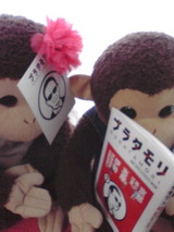 aac4fdf3.jpg
